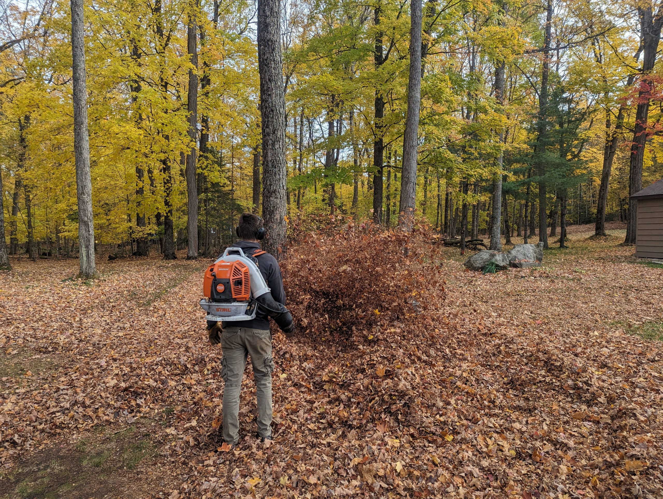 Property Maintenance