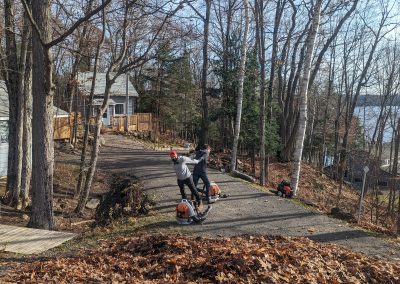 Leaf Blowing